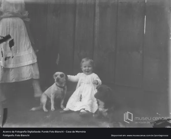 As 11 imagens selecionadas para compor esta exposição retratam a espontaneidade e a importância que esses seres ocupam na sociedade.