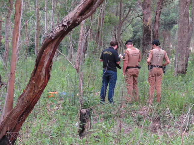 Os números de Ponta Grossa acompanham a tendência de redução da criminalidade em todo o Paraná