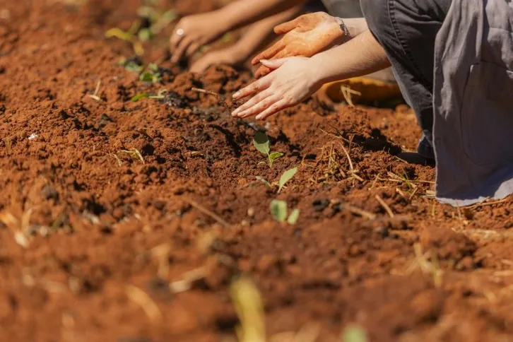 Imagem ilustrativa da imagem Colégio Agrícola da UEPG é a melhor escola pública de PG no Enem 2024