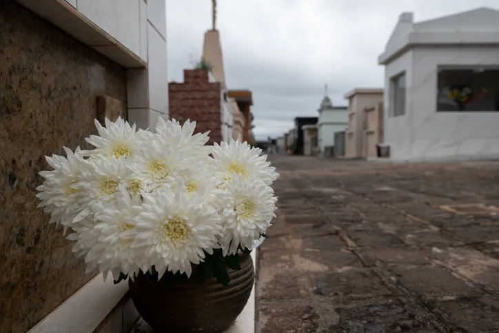 Flores no Cemitério São José