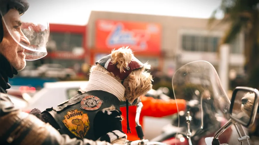 'Festival Rota 01' é recomendado para todos os públicos