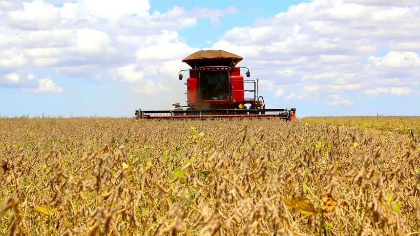 As lavouras de soja são uma das principais atividades agrícolas que sustentam o faturamento nos Campos Gerais