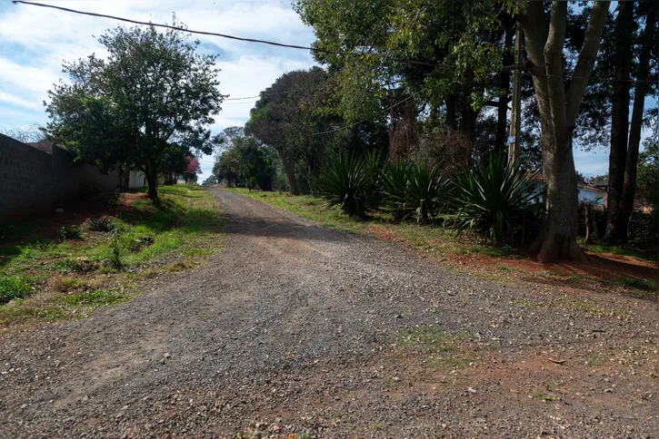 Imagem ilustrativa da imagem Prefeitura confirma asfalto em 12 km para mais três vilas de PG