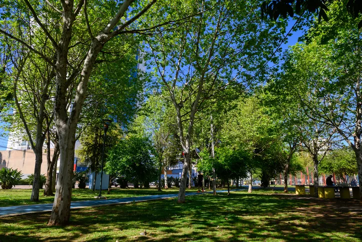 Parque Ambiental Governador Manoel Ribas