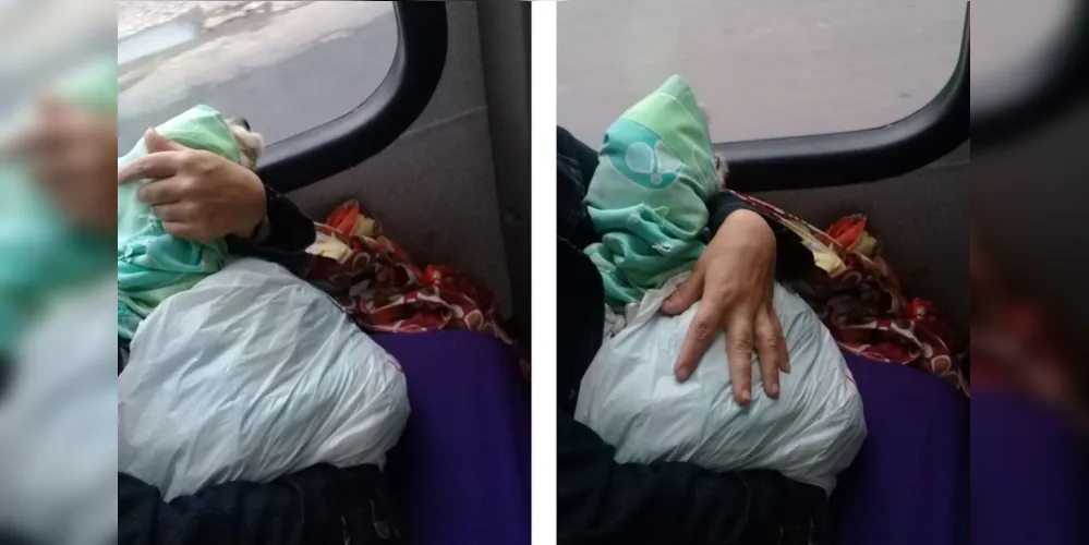 O episódio envolvendo o cachorro aconteceu no trajeto Centro-Oficinas, em Ponta Grossa