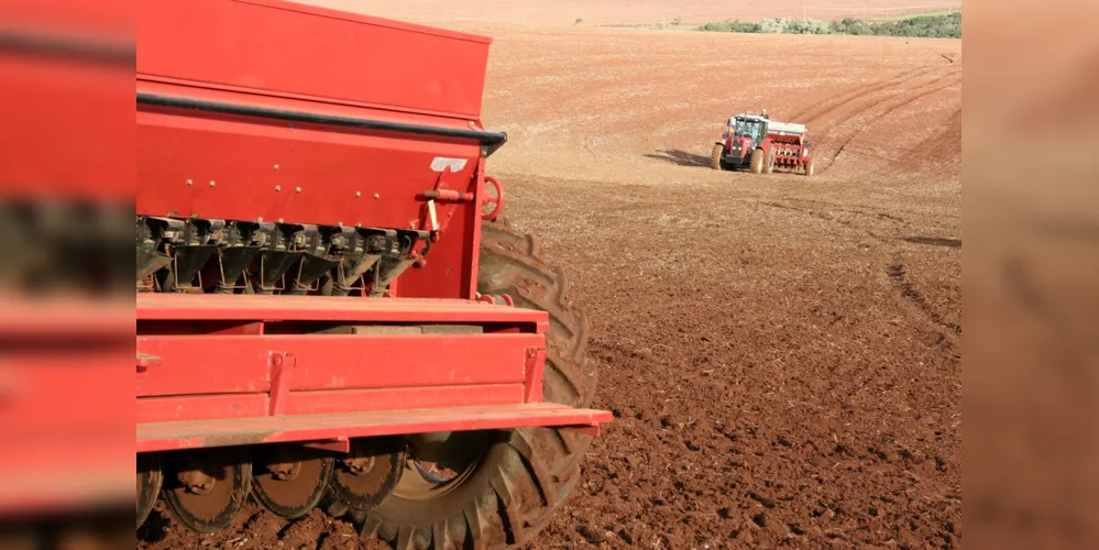 Imagem ilustrativa da imagem Produção de soja deve crescer na região e trazer mais rentabilidade