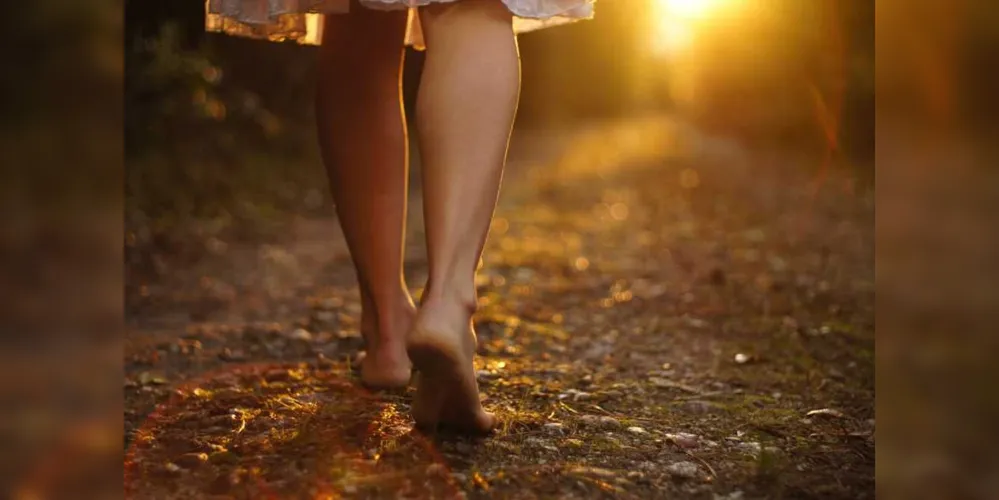 Imagem ilustrativa da imagem No caminho de Kumano – o monge e a mensagem (final)