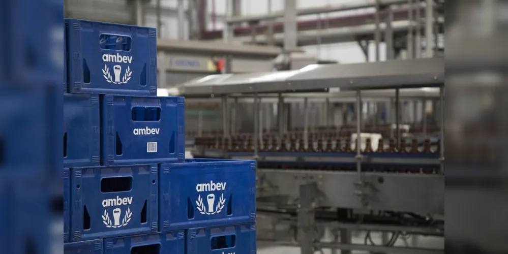 Candidatos devem ser formar até o primeiro semestre de 2021