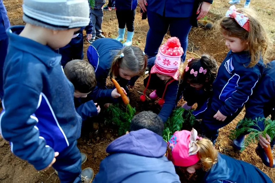 Na visita, os alunos aprenderam como é na pática o processo aprendido em sala de aula