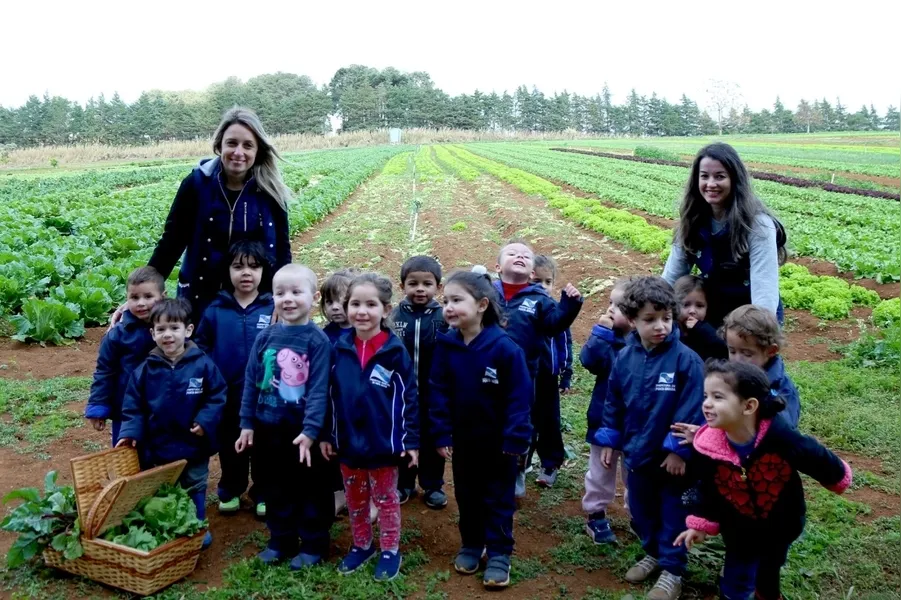 Estudantes visitam chácara e aprendem sobre alimentação