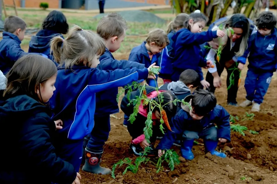 Estudantes visitam chácara e aprendem sobre alimentação