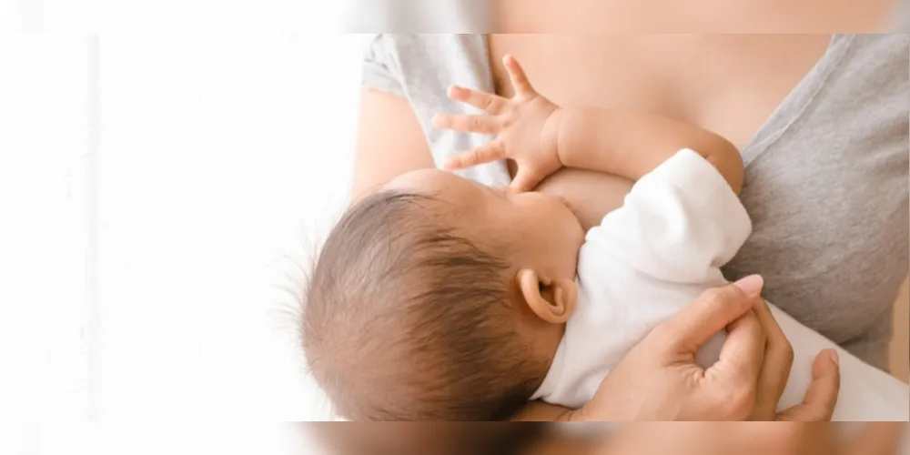 Equipe de Enfermagem do Consultório Girassol reúne consultores em amamentação e dará dicas práticas às mães no evento
