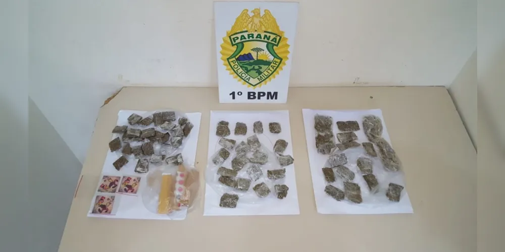 Imagem ilustrativa da imagem Mulheres são presas com drogas no sutiã no Cadeião de PG