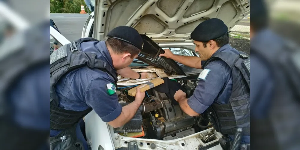 Imagem ilustrativa da imagem PRF e GM apreendem 50 quilos de maconha em Irati