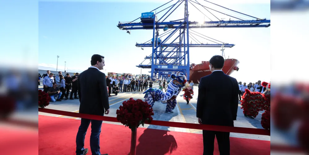 Imagem ilustrativa da imagem Paraná passa a ter maior terminal de contêineres do país