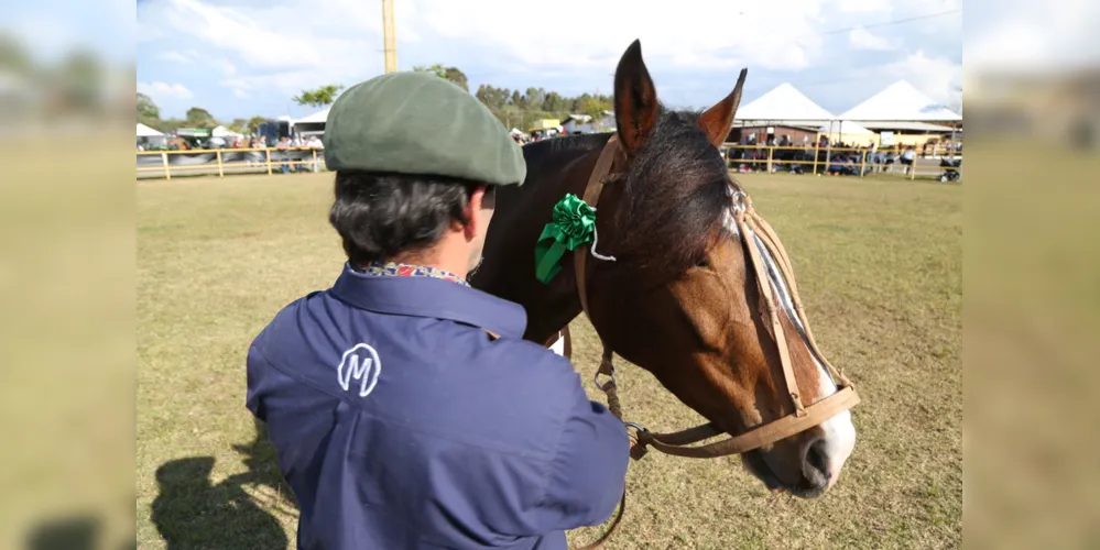 No período da noite, a partir das 20 horas, acontece o leilão de equinos manga-larga. Cerca de 30 animais serão vendidos
