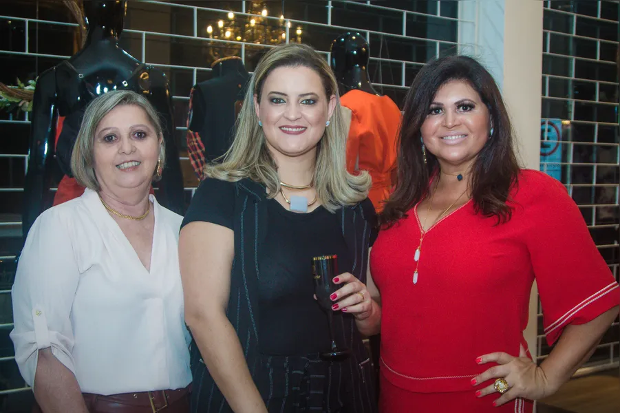 Celi Hoffmann, Daiane Peruffo Cruz e Cristina Mota