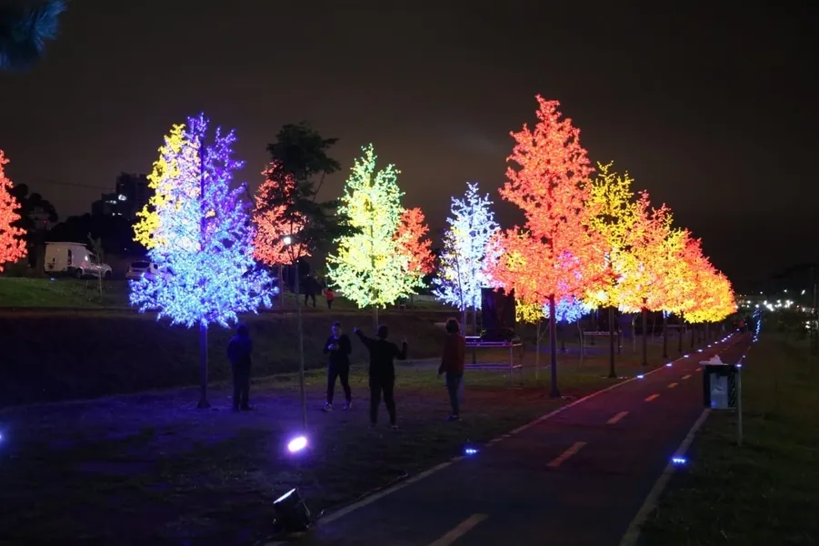 O Bosque de Luz funcionará como decoração ao longo de todo o período que antecede o Natal