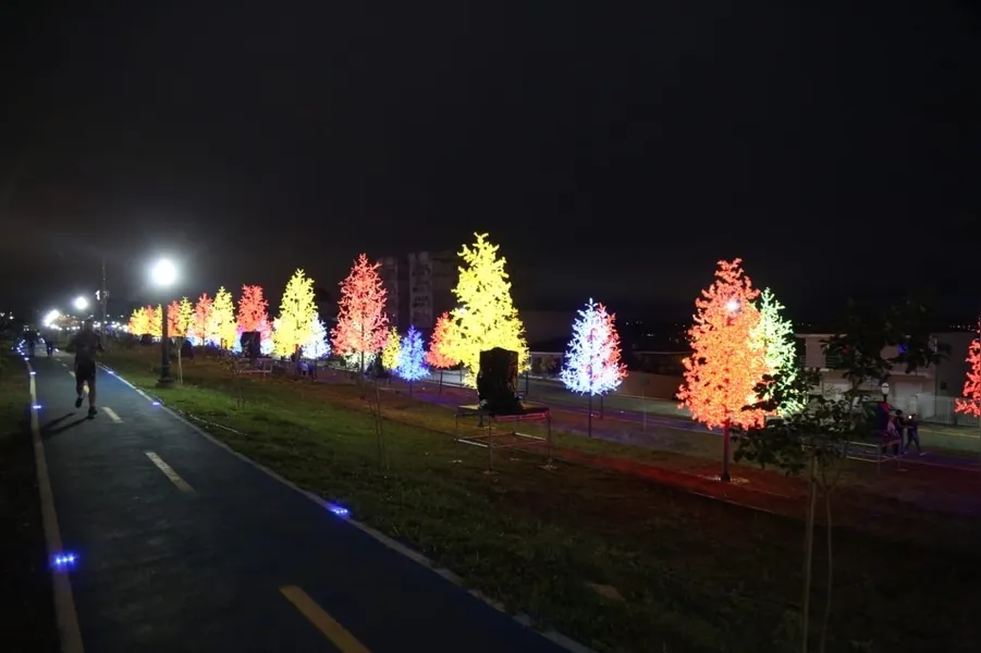 Bosque de Luz é novidade no Natal de PG