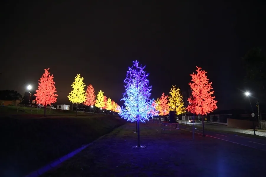 Bosque de Luz é novidade no Natal de PG