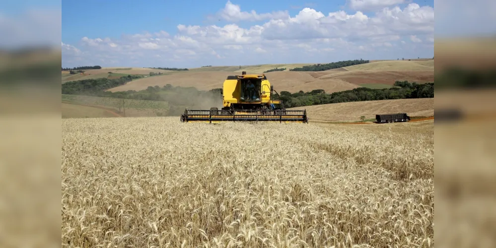 É quase um milhão de toneladas de cereais a mais produzidos no Estado, segundo levantamento do Departamento de Economia Rural (Deral), da Secretaria de Estado da Agricultura e Abastecimento, relativo ao mês de outubro

