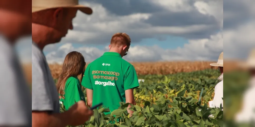 Além da posição no ranking estadual, a cooperativa alcançou a 96ª colocação entre as 500 Maiores do Sul, um salto de 14 posições sobre o índice de 2017