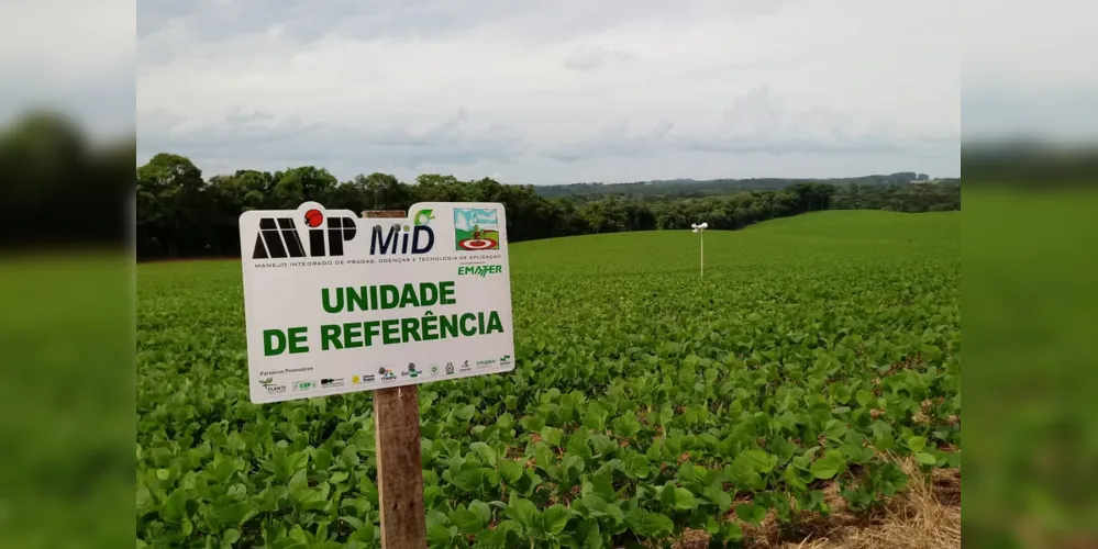 Imagem ilustrativa da imagem Sistema Alerta Ferrugem reduz aplicação de fungicida