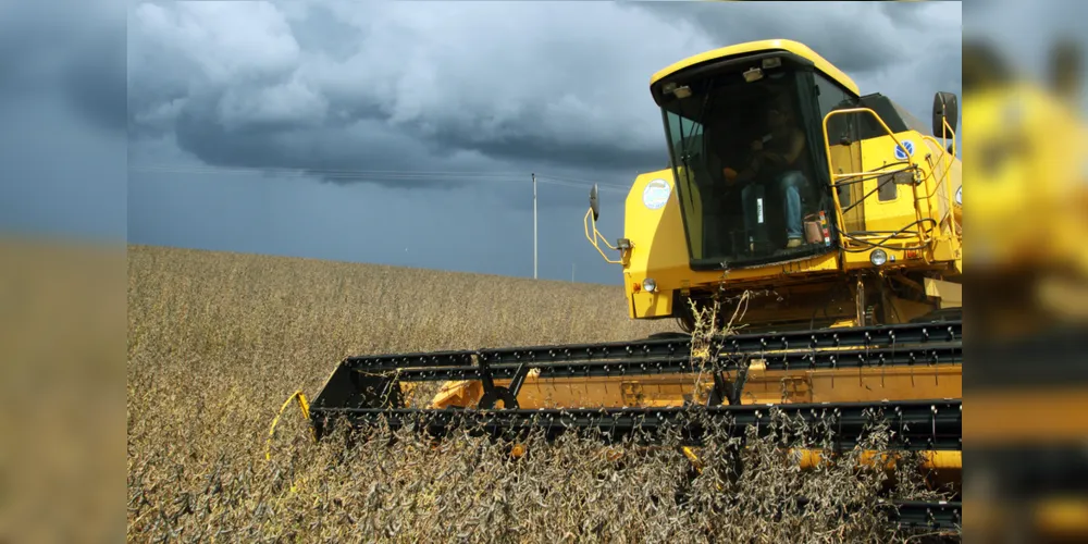 Alta é de 22% em relação ao colhido no ano anterior