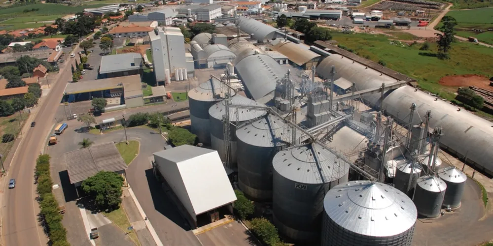 Castrolanda, Capal e Frísia, somadas, registraram  alta de 4,55% em 2019. Saldo superou a média estadual
