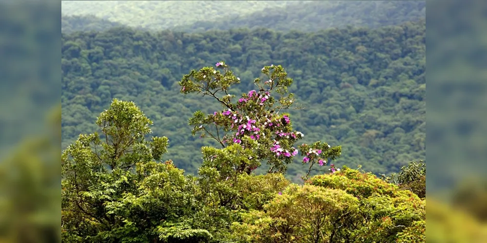 Os dados nortearão futuras propostas de desenvolvimento econômico e tomadas de decisões dos gestores públicos, de acordo com a capacidade de suporte ambiental.