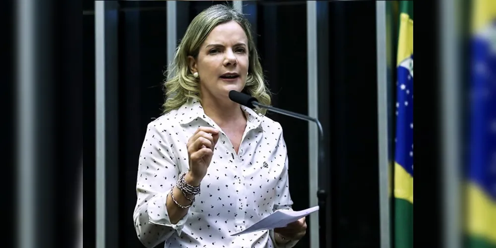 Parlamentar citou pontos principais na atual configuração do país