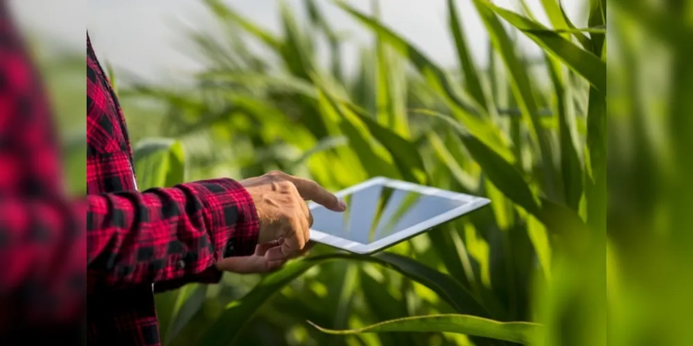 Programa, realizado pela Frísia Cooperativa Agroindustrial conta com consultoria e suporte da Aceleradora Sistema Fiep