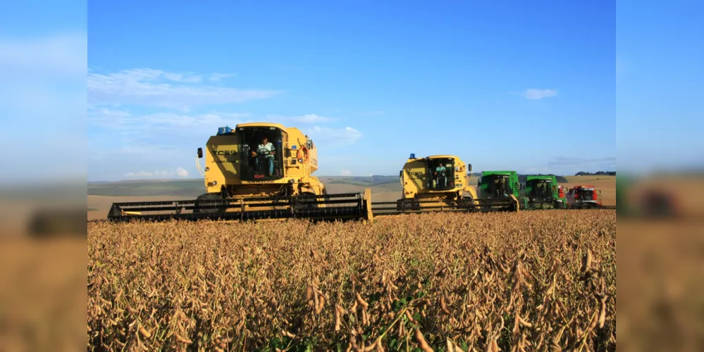 Imagem ilustrativa da imagem Plano Safra irá disponibilizar R$ 236 bilhões ao agro