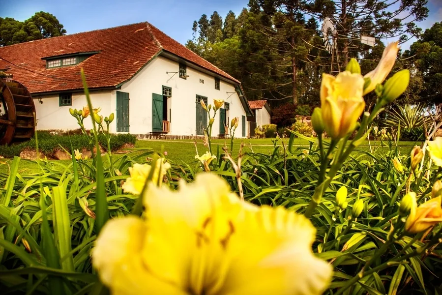 Gestores e historiadores respondem sobre as dificuldades enfrentadas nos museus neste período, as inovações e o pós-pandemia