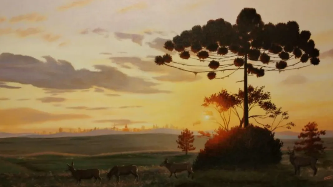 "Voltando pra Casa" - além da Araucária característica da região, pode-se ver a cidade de Ponta Grossa ao fundo