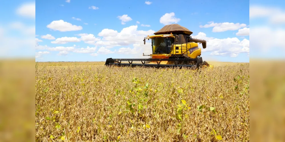 Principal destaque nos Campos Gerais fica com a soja, com 2,27 milhões de toneladas retiradas do campo, o maior valor da história
