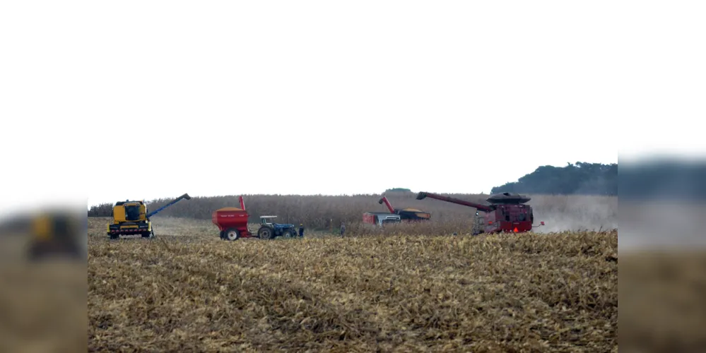 Imagem ilustrativa da imagem VBP do Paraná cresce 9% e atinge recorde de R$ 97 bi