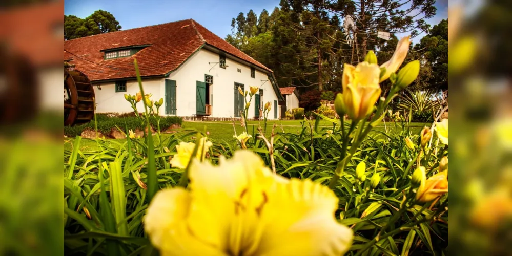 Gestores e historiadores respondem sobre as dificuldades enfrentadas nos museus neste período, as inovações e o pós-pandemia
