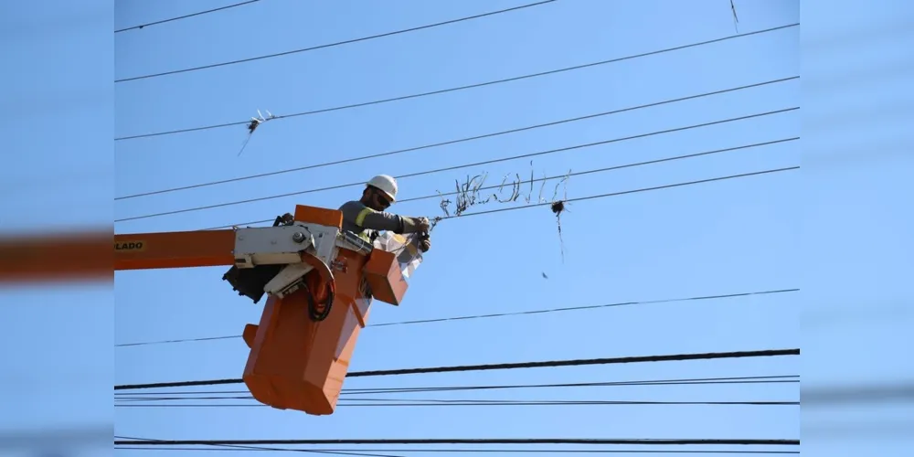O objetivo é evitar desligamentos de energia no período mais chuvoso do ano.