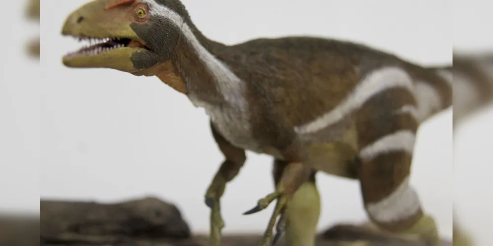 O evento é uma ação do Instituto Brasileiro de Museus (Ibram) e, neste ano, tem o tema Mundo Digital: Museus em Transformação.