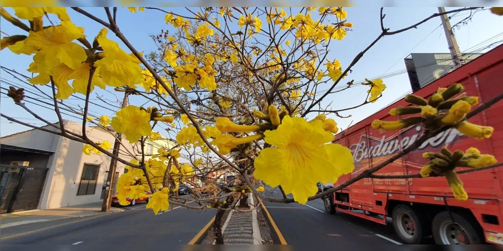 Ciclo deve iniciar às 10h31 de amanhã