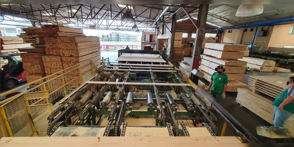  Todas as microrregiões dos Campos Gerais são polo na produção madeireira