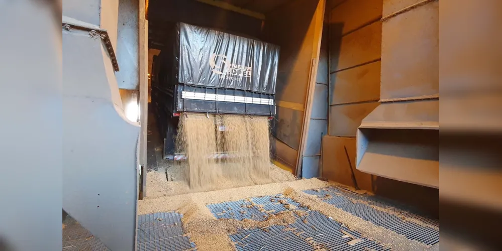 A soja e seus derivados são os produtos mais exportados pelo município, além de também se destacarem na importação