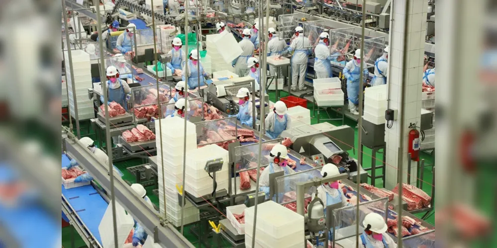 Média mensal de 3,3 mil toneladas de carnes industrializadas por 
mês na unidade instalada pela Unium no município de Castro