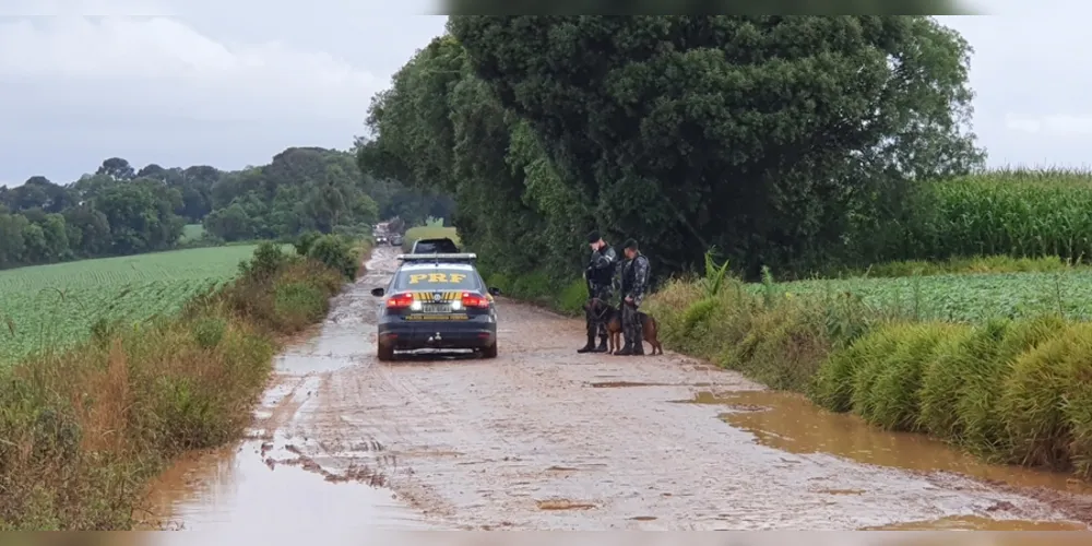 Imagem ilustrativa da imagem Assaltante que entrou em confronto com policiais em PG pode ter morrido