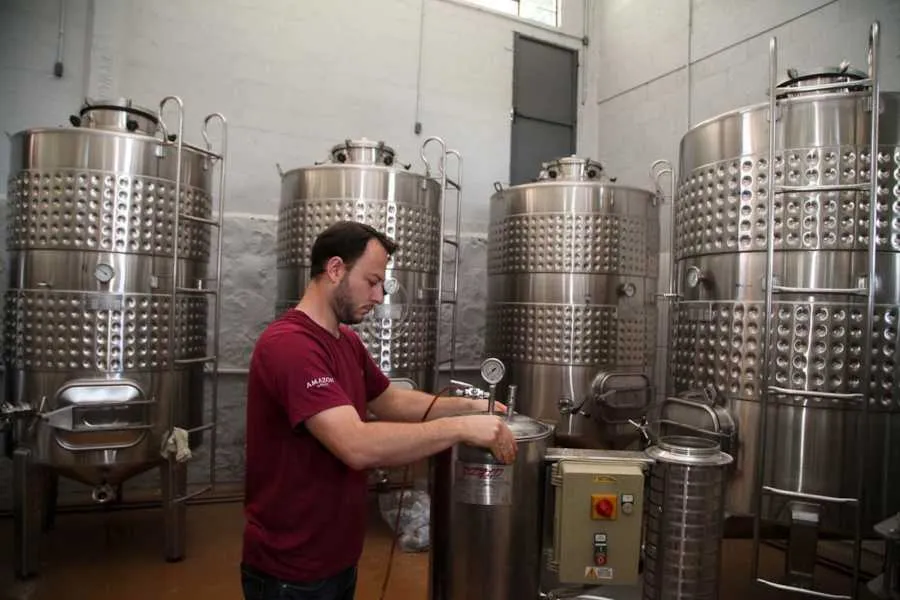 Terra dos vinhos e espumantes premiados