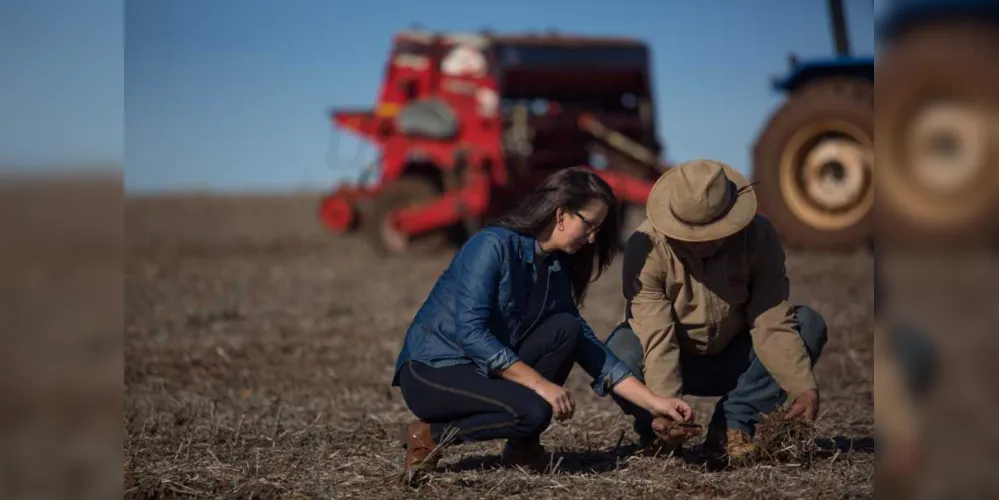 Imagem ilustrativa da imagem Sicredi disponibiliza R$ 6,9 bi para pré-custeio da próxima safra