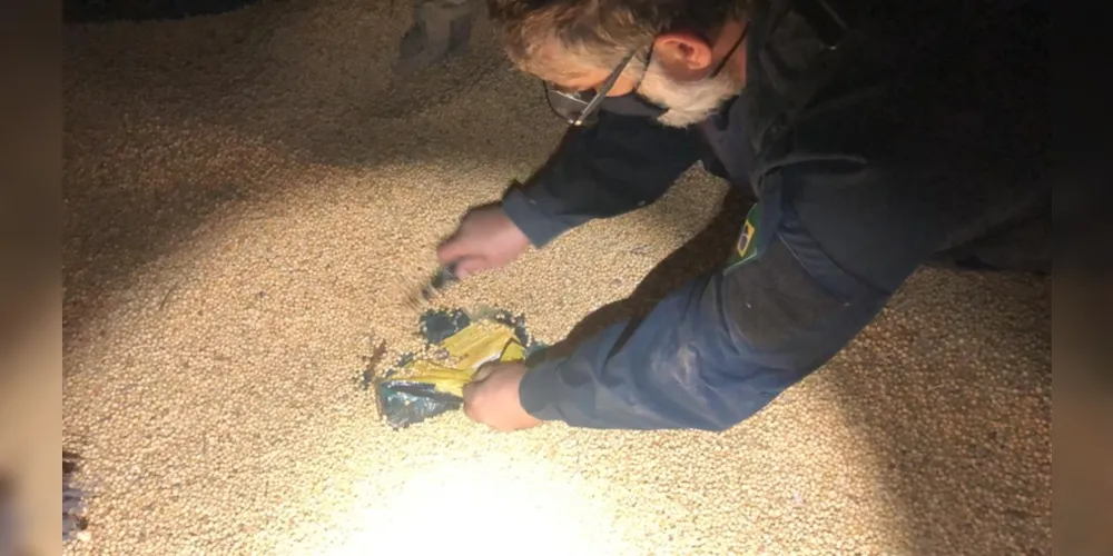 Imagem ilustrativa da imagem PRF apreende toneladas de maconha em PG