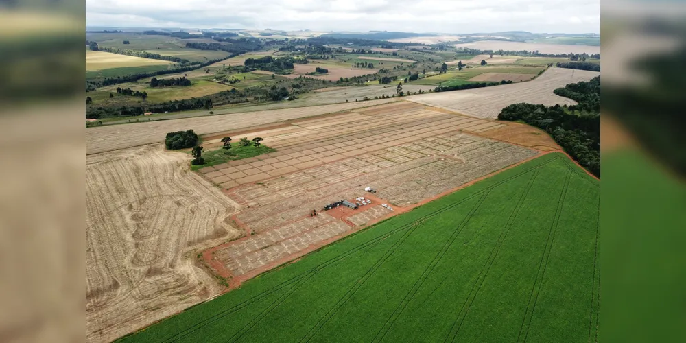 Em Ponta Grossa, Exército vistoria local de possível instalações da Escola de Sargentos de Armas - ESA. Ponta Grossa, 13 de abril de 2021.
Foto: José Fernando Ogura/ AEN