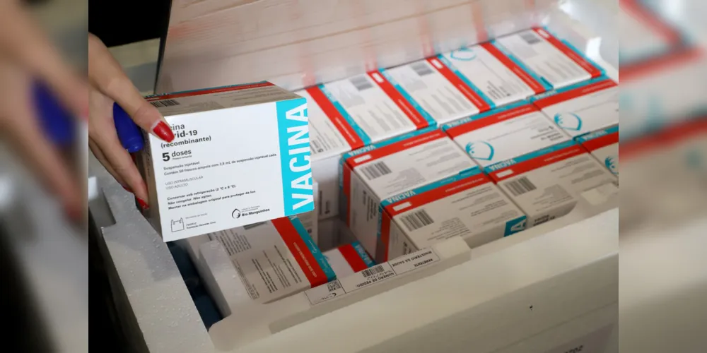 Imagem ilustrativa da imagem Municípios começam a receber lote com 309 mil vacinas